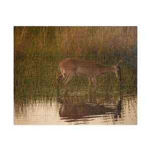 Puzzle (110, 252, 520, 1014-piece)
