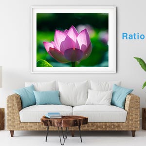 Elegant Lotus Blossom – Printable Wall Art High‑Res Photo Instant Digital Download
