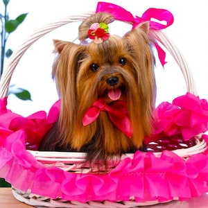 Small Dog Hair Bows: Handmade Flower Barrettes, Assorted Colors (20PCS Set)