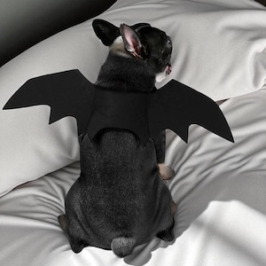 Pet Bat Wings Halloween Costume – Funny Cat & Small Dog Cosplay Outfit, Felt Bat Wing Apparel for Halloween Party, Photos