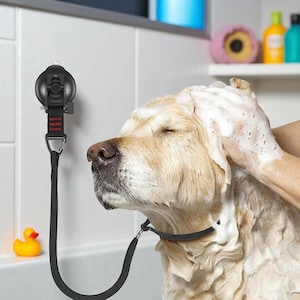 Adjustable Pet Grooming Tool for Dogs and Cats, Dog Groomer Supplies, Grooming Table Loop, Bathing and Trimming Rope