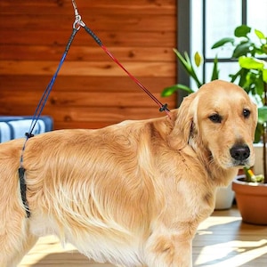 Adjustable Pet Grooming Tool for Dogs and Cats, Dog Groomer Supplies, Cat Grooming Brush, Non-Slip Harness