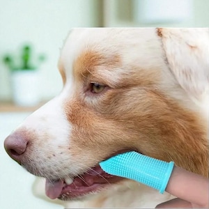 Dog Finger Toothbrush, Silicone Teeth Cleaner for Dogs and Cats, Pet Grooming Tool, Cat Grooming Brush, Dog Dental Care, Oral Hygiene