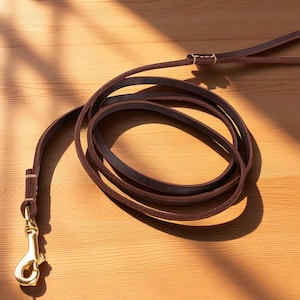 Soft Leather Dog Training Leash, Handmade Slip Lead, Small to Medium Dogs