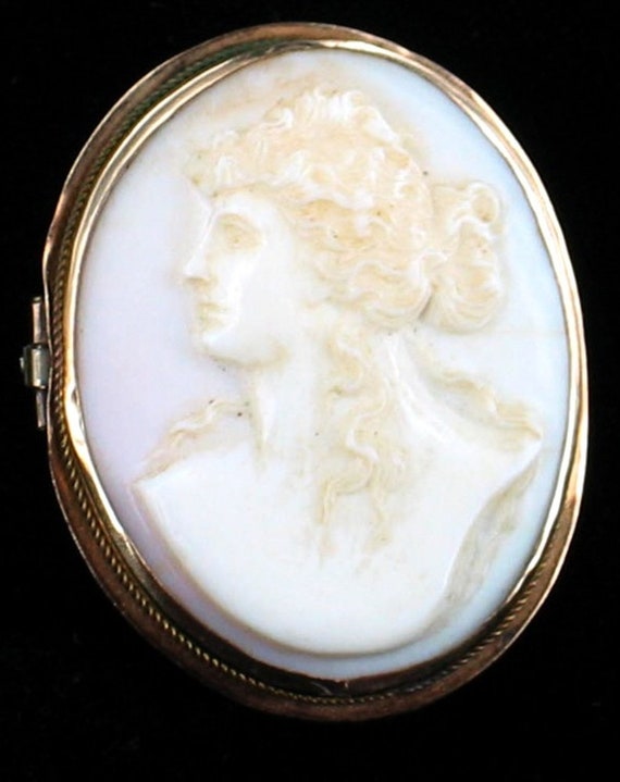 Buy Antique 1860 10K Gold Pink Conch Shell Cameo Pin Victorian 