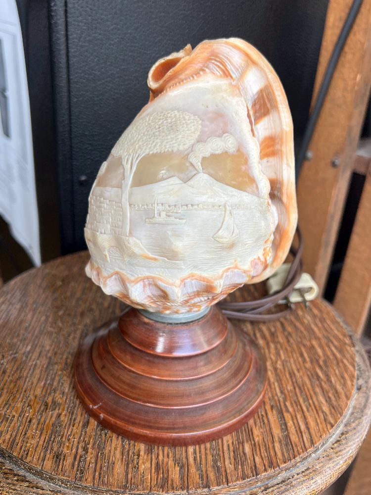 Cameo shell lamp - Etsy 日本