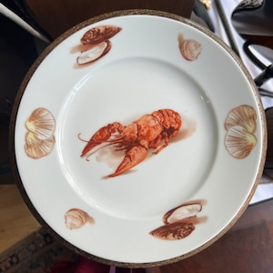 Puede incluir: Un plato de cerámica blanco con un borde marrón presenta un diseño pintado a mano de una langosta y varias conchas. El plato es perfecto para servir mariscos.