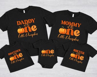 One Little Pumpkin First Birthday Family Shirts, Fall Matching Outfit
