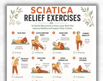 Ischias reliëfoefeningen afdrukbaar, rektkaart lage rugpijn, poster fysiotherapie, routine voor zachte mobiliteit, direct downloaden