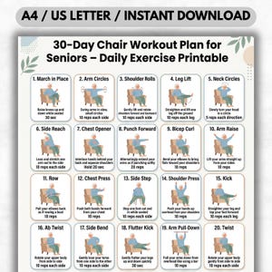 Op de afbeelding: Een afdrukbaar 30-daags stoelworkoutplan voor senioren. Het plan bevat 20 verschillende oefeningen met illustraties, zoals armcirkels, beenheffen en zijwaarts buigen. De print is ontworpen voor A4/US Letter en is direct te downloaden.