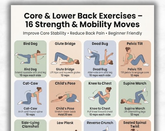 Core & Lower Back Exercises Printable, Back Pain Relief Workout Chart, 16 Core Stability Exercises, Physical Therapy Poster, Home Rehab PDF