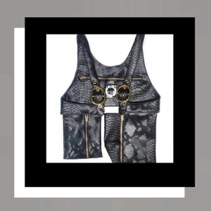 May include: A black and gray snakeskin-patterned vest with gold-colored zippers and hardware. The vest has two front pockets and decorative gold rings. The vest is sleeveless and has a unique design.