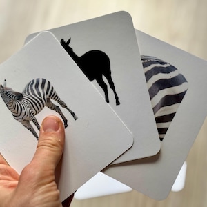 Wild Animals Flashcards That Grow With Your Child (12 Months - 5 years+) | Animal Matching, Shadow & Discovery Cards (US Letter, A4)