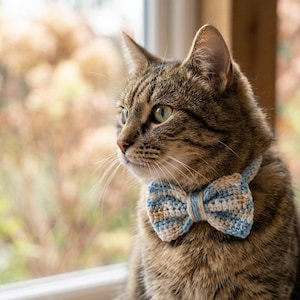 May include: A brown tabby cat with green eyes wearing a small, handmade crochet bow tie. The bow tie features a striped pattern in light blue, white, and tan yarn. The cat is positioned in profile, looking toward the left side of the frame.