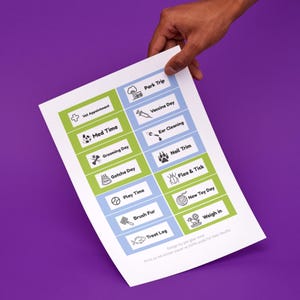 Pet Care Planner Stickers Printable | Functional Dog Tracker Stickers | Cat Health & Wellness Journal Kit | Puppy Bullet Dots | A4 PDF image 3