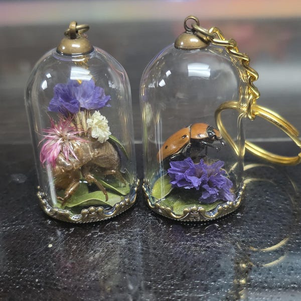 Real Insect & Dried Flower Keychain: Bug Jewelry