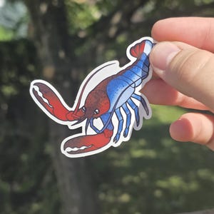 Gynandromorph Lobster Sticker