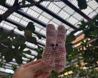 Mini Crochet Chromosome Plushie