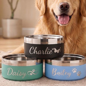 May include: Three personalized pet bowls in black, teal, and blue with silver rims. The black bowl is labeled "Charlie" with a butterfly, the teal bowl says "Daisy" with a paw print and heart, and the blue bowl says "Bailey" with a paw print. A golden retriever dog is in the background.