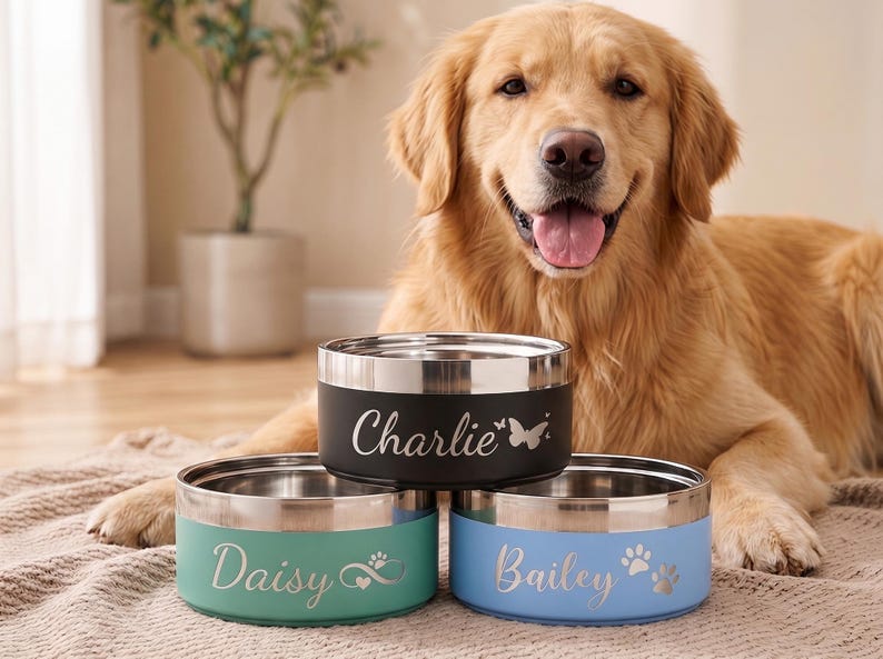 May include: Three personalized pet bowls in black, teal, and blue with silver rims. The black bowl is labeled "Charlie" with a butterfly, the teal bowl says "Daisy" with a paw print and heart, and the blue bowl says "Bailey" with a paw print. A golden retriever dog is in the background.