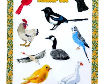 Vogelstickerset: waterdichte vinylstickers voor tijdschriften en laptops