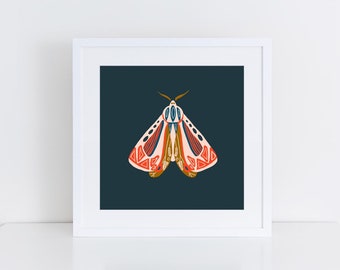 Moth One Illustration, Print