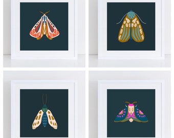 Moth Set of Four Illustrations, Prints