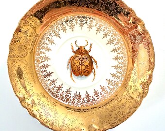 Hand Painted Gold Beetle Porcelain Plate, Ornate Antique Style Decor, Insect Art (6 inch)