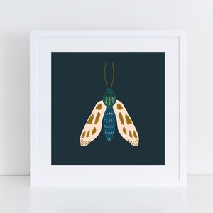 Moth Three Illustration, Print