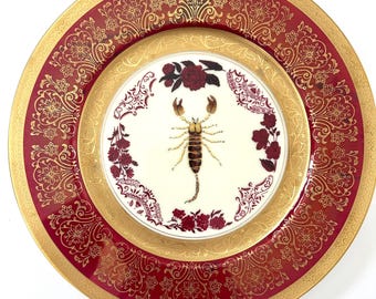 Scorpion Plate, Gothic Victorian Wall Art, Dark Academia Decor