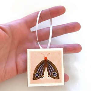 Fall Moth Ornament