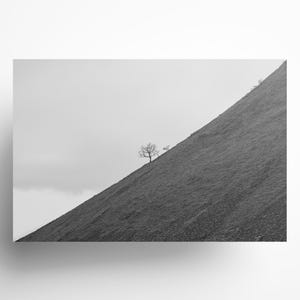 Minimalist Tree Art Print - Black and White Landscape Photography - Solitary Tree Wall Art - Modern Nature Decor - Abstract Hillside Photo