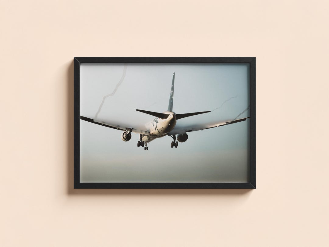 767 Wingtip Delta Boeing 767