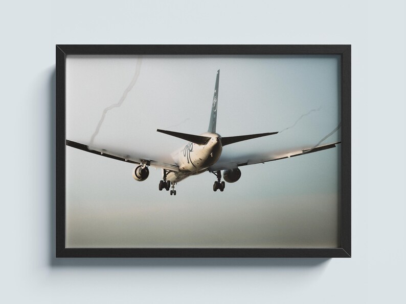 767 Wingtip Delta Boeing 767