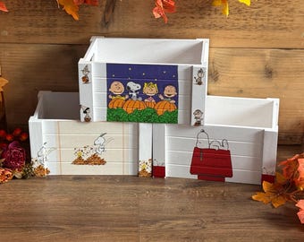 Snoopy boxes all the seasons