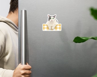 Imán de gato del bosque noruego Toby / Arte felino gigante gentil de ojos verdes