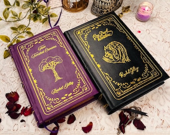 The Shepherd King Series– One Dark Window and Two Twisted Crowns Rebound Leather Edition