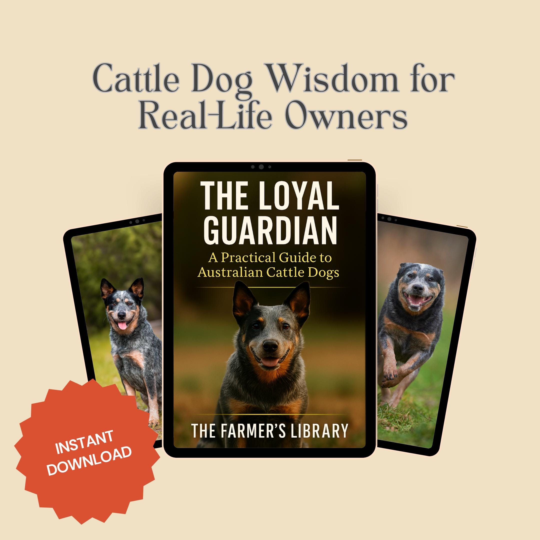 The Loyal Guardian Australian Cattle Dog Guide PDF Training