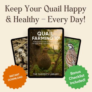 Quail Farming for Beginners: Backyard Guide for Eggs, Meat & Profit (Digital Download)