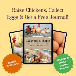 Peut inclure: Publicité pour un livre intitulé "Backyard Chickens" affichée sur une tablette, avec le texte "Raise Chickens, Collect Eggs & Get a Free Journal!". L'image comprend des poulets, des œufs et les mots "Instant Download".