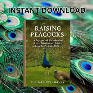 Op de afbeelding: Boekomslag "Raising Peacocks" met een pauwenillustratie. De tekst op de omslag luidt "A Beginner's Guide to Peafowl Breeds, Breeding, and Building a Beautiful, Profitable Flock". De achtergrond toont pauwenveren en de woorden "INSTANT DOWNLOAD".