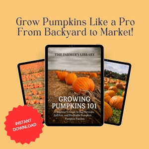 Op de afbeelding: Drie digitale tablets met afbeeldingen van pompoenvelden. De centrale tablet toont een boekomslag met de titel "Growing Pumpkins 101", met de tekst "A Beginner's Guide to Big Harvests, Fall Fun, and Profitable Pumpkin Pumpkin Patches". De afbeelding bevat ook de tekst "Grow Pumpkins Like a Pro From Backyard to Market!" en "INSTANT DOWNLOAD".