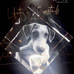 Custom 3D Pet Crystal printed diamond shape– Dog or Cat Photo Keepsake | Memorial Gift for Pet Lovers | Personalized Laser Engraved Crystal