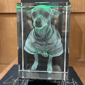 Custom 3D Pet Crystal printed tower – Dog or Cat Photo Keepsake | Memorial or Gift for Pet Lovers | Personalized Laser Engraved Crystal