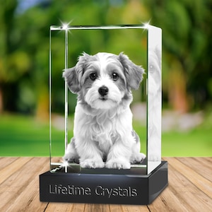 Create your own 3D crystal portrait with your pet picture dog cat bird add dedications for free