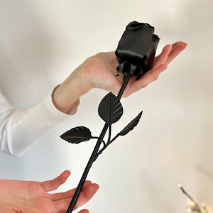Può includere: Una rosa in metallo nero con petali e foglie dettagliati. Lo stelo è lungo e sottile, e la rosa è tenuta tra le mani di una persona su uno sfondo bianco. La lavorazione del metallo suggerisce un oggetto fatto a mano, forse per l'arredamento della casa o un regalo unico.