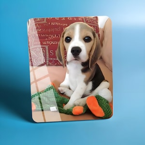 Custom Crystal Pet Memorial Keepsake Frame for Cat & Dog Owners | Home Display Photo Gift to Cherish Memories