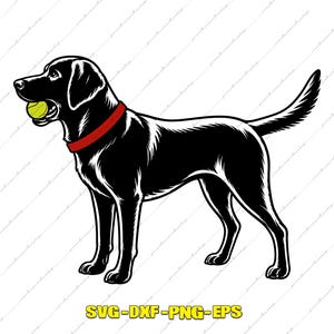 May include: A black Labrador retriever illustration featuring a red collar and a bright yellow tennis ball held in its mouth. The graphic design is presented in a clean, high-contrast style with bold lines, labelled with the text SVG-DXF-PNG-EPS.