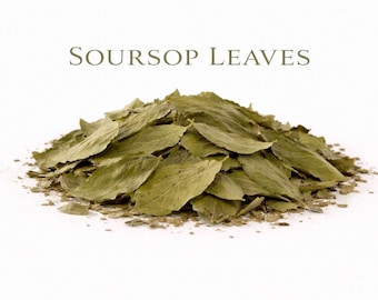 Soursop Leaves – Loose Leaf Herbal Tea | Single-Ingredient Botanical