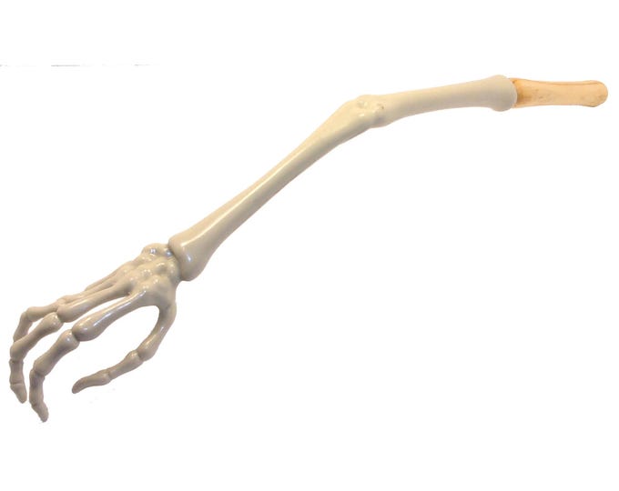 Personalized Skeleton Hand Back Scratcher | Custom Engraved Gift Idea for Doctor or Nurse